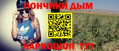 тгк Ставрополь