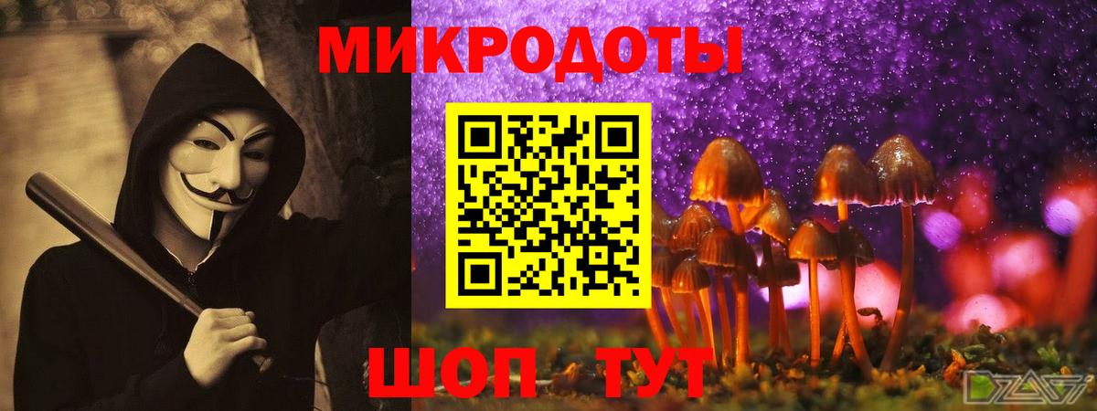 Галлюциногенные грибы MAGIC MUSHROOMS Павловский Посад