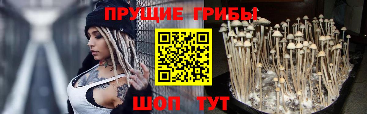 Псилоцибиновые грибы Magic Shrooms  Вход с VPN  Павловский Посад 
