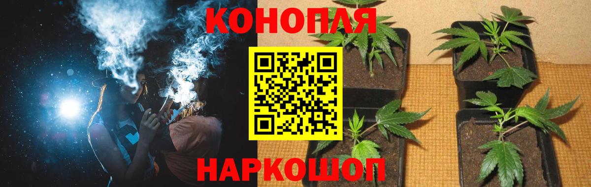 Каннабис Ganja Павловский Посад